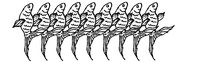 NineGoldfish.jpg